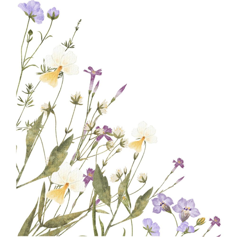 wildflowers
